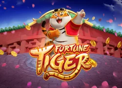Fortune tiger