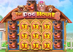Dog house