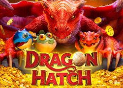 Dragon hatch